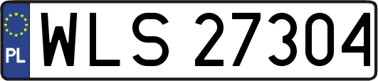 WLS27304