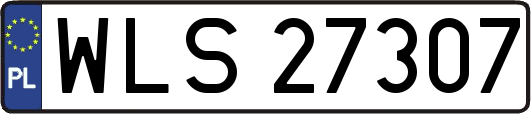 WLS27307