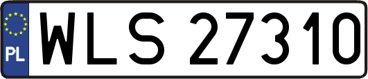 WLS27310