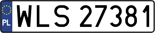 WLS27381