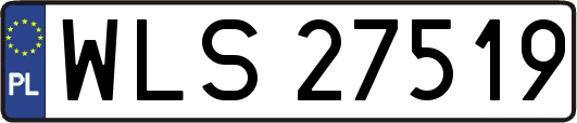 WLS27519