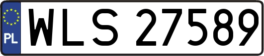 WLS27589