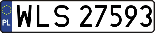 WLS27593