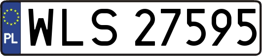 WLS27595