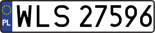 WLS27596