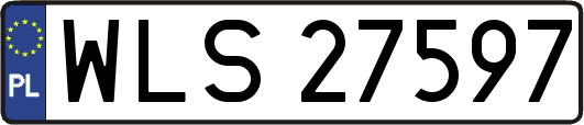 WLS27597