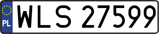 WLS27599