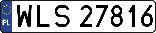 WLS27816