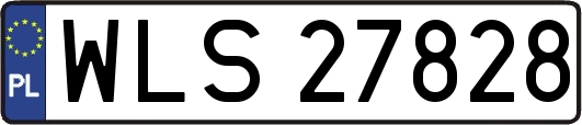 WLS27828