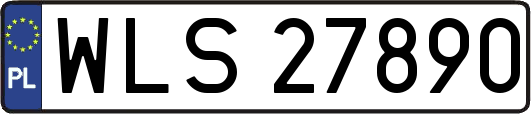WLS27890