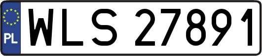 WLS27891