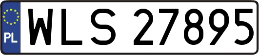 WLS27895