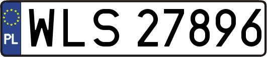 WLS27896