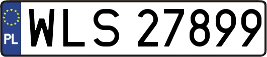 WLS27899