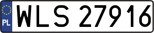 WLS27916