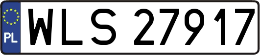 WLS27917