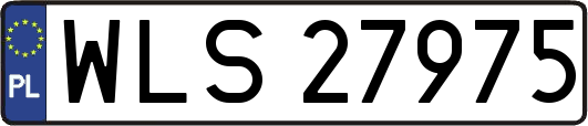 WLS27975