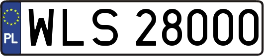 WLS28000