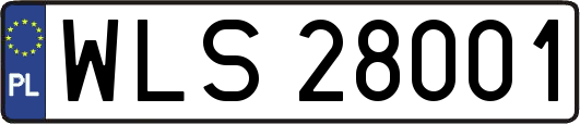 WLS28001
