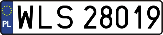 WLS28019