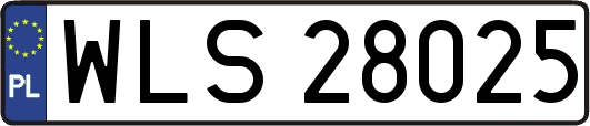 WLS28025