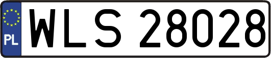WLS28028