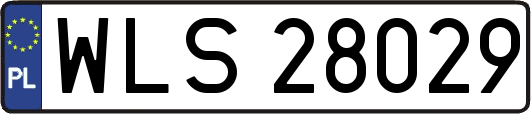 WLS28029