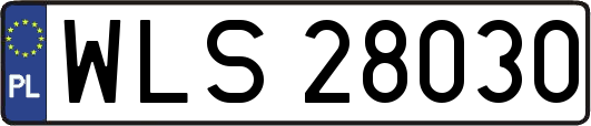 WLS28030