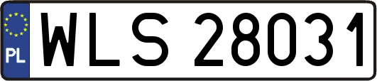 WLS28031