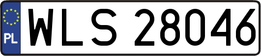 WLS28046