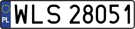WLS28051
