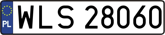 WLS28060