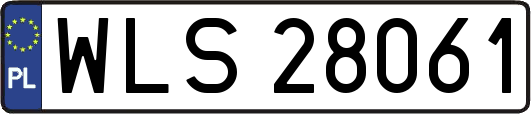 WLS28061