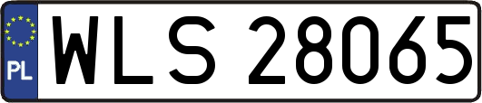 WLS28065