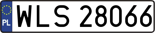WLS28066