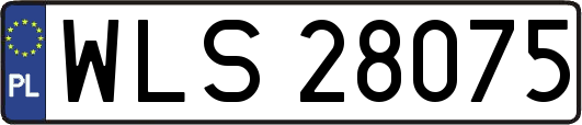 WLS28075