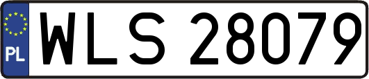 WLS28079