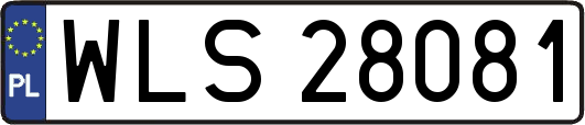 WLS28081
