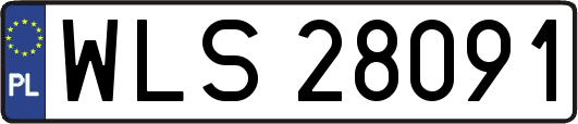 WLS28091