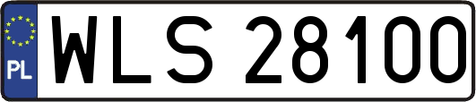 WLS28100