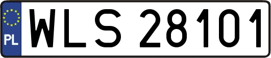WLS28101