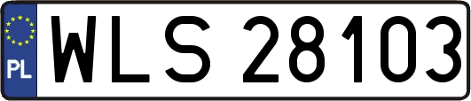 WLS28103