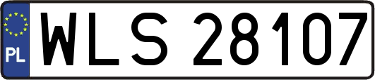 WLS28107