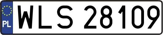 WLS28109