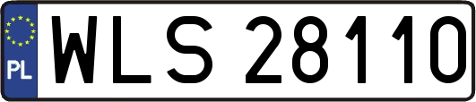 WLS28110