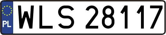WLS28117