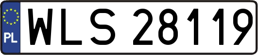 WLS28119