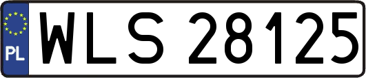 WLS28125