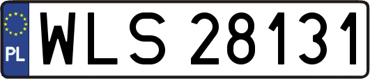 WLS28131