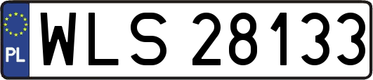WLS28133